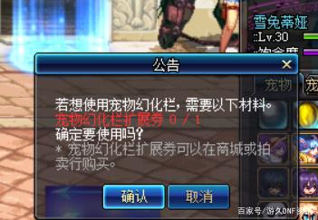 霸者dnf私服辅助456
